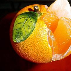 Апельсиновое дерево Персиковое дерево: символ бессмертия по фен-шуй